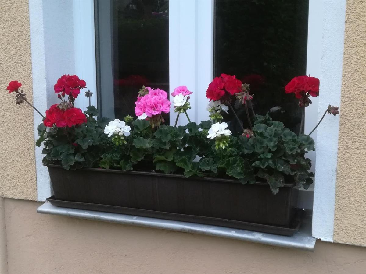 Ferienwohnung Rauscher Altenberg  Exterior foto