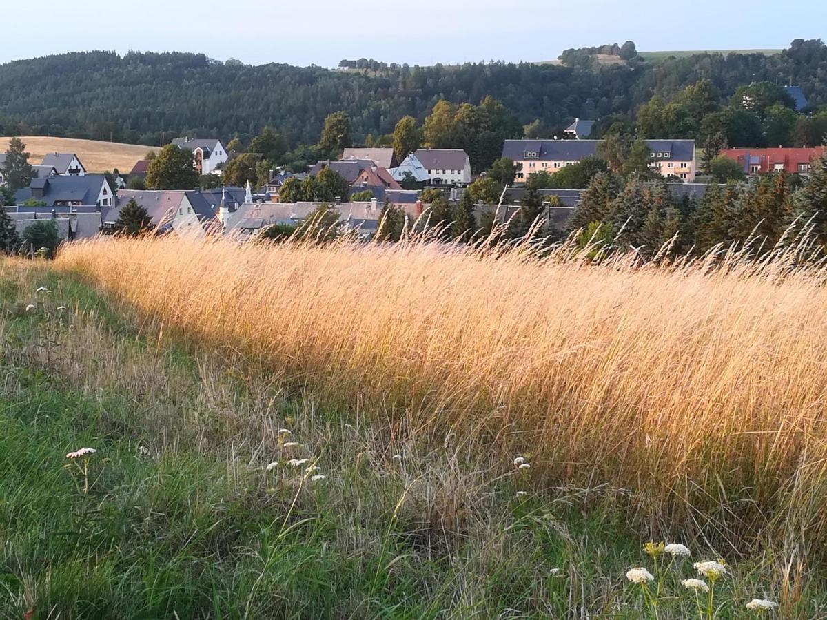 Ferienwohnung Rauscher Altenberg  Exterior foto